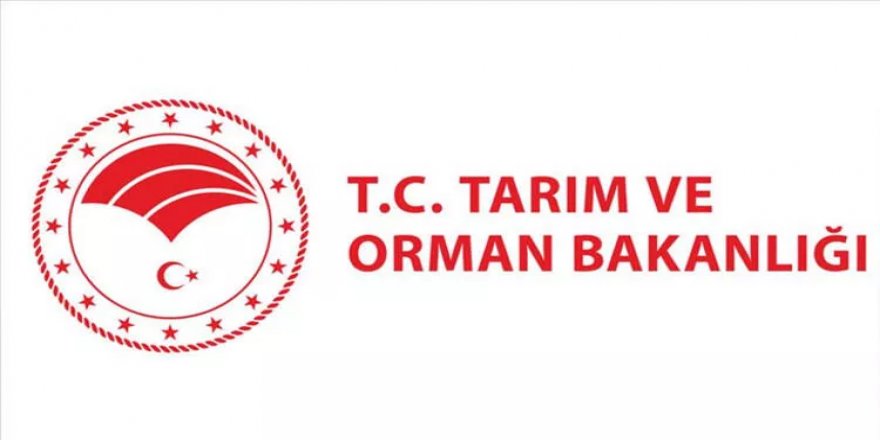 Tarım ve Orman Bakanlığı 3-4 Bin TL Maaşla Geçici İşçi Alımı Yapacak