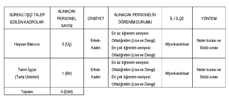 afyon1.png