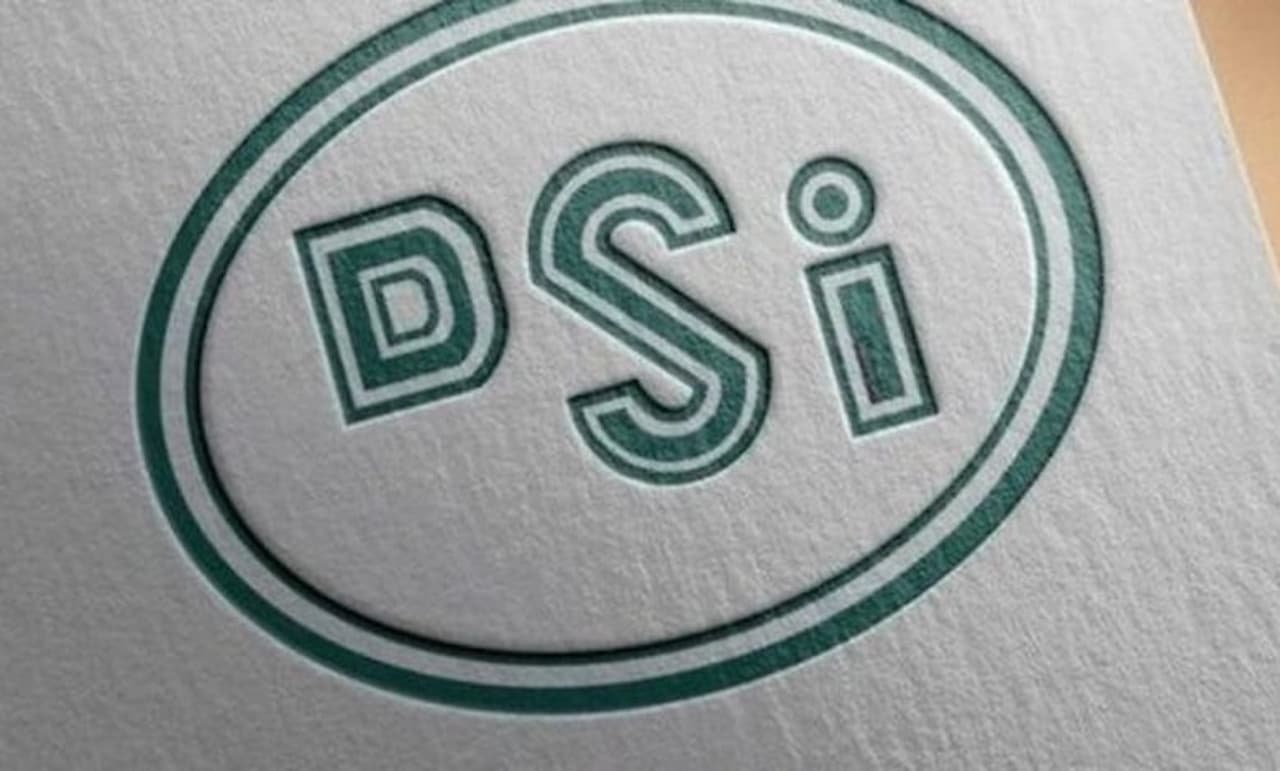 dsi.jpg