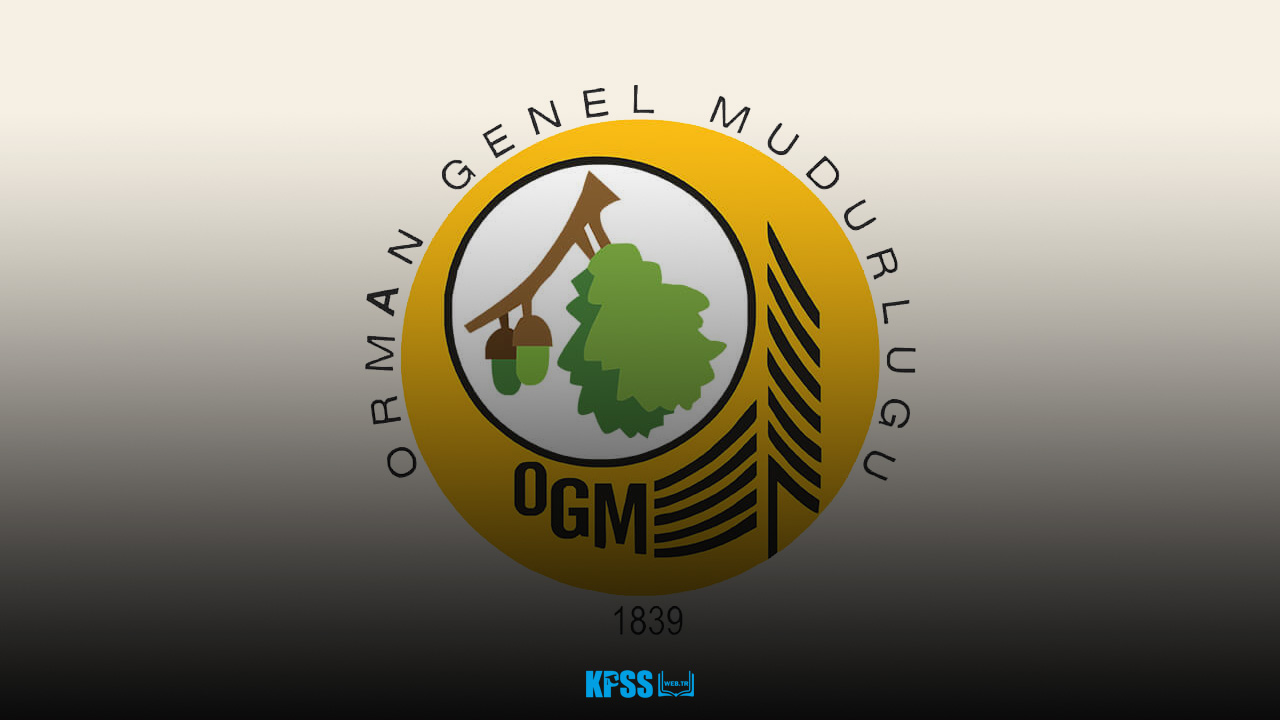 ogm3.jpg