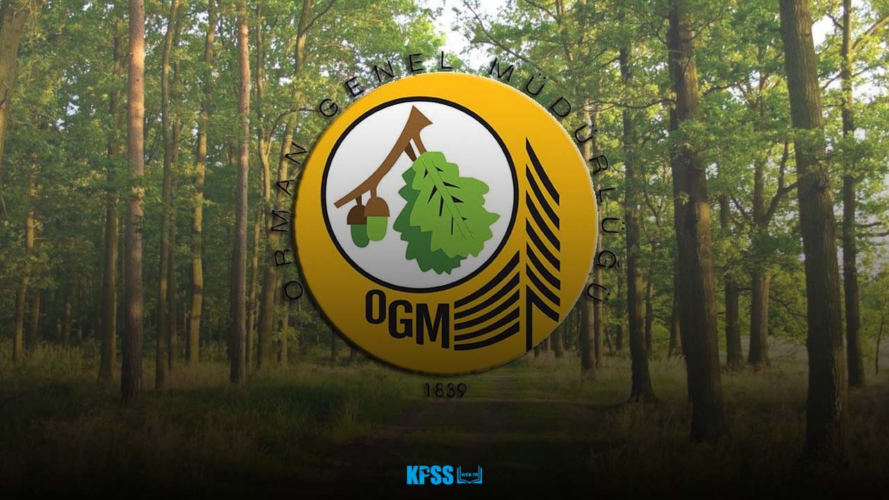ogm-3.jpg