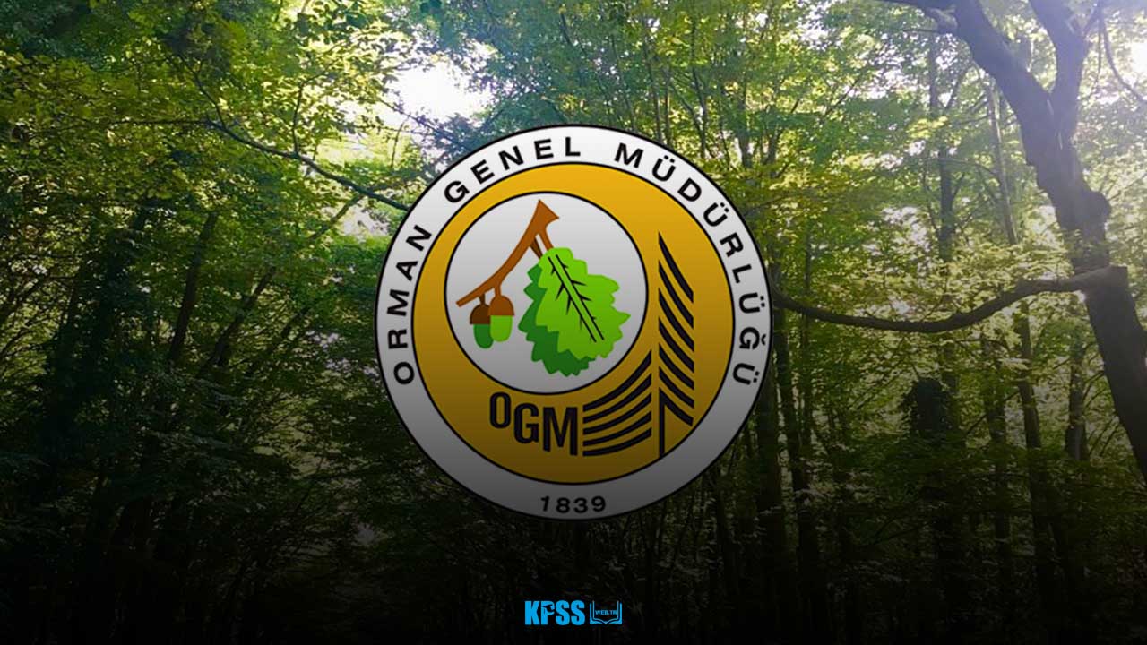 ogm-2.jpg